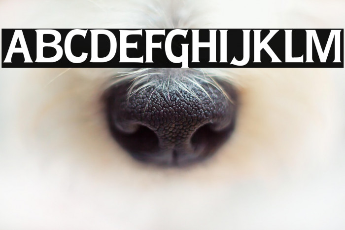 Lady Copra Example 1