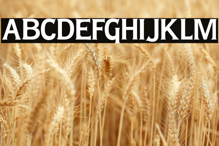 Lady Copra Example 3