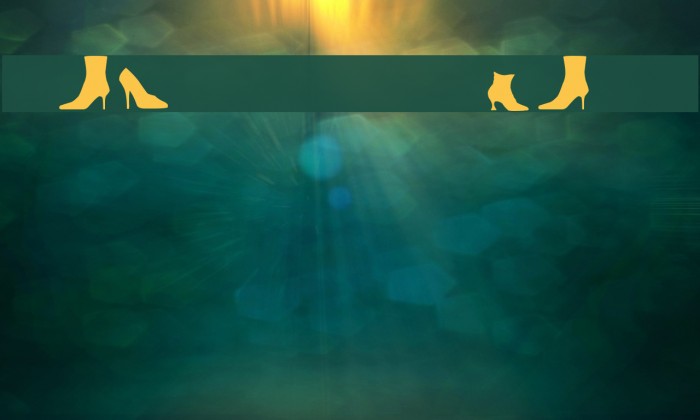 Lady Footwear LT Example 2