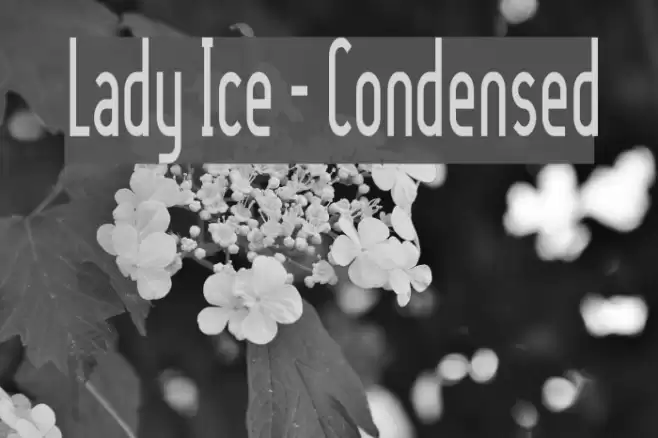Lady Ice - Condensed 字体 examples