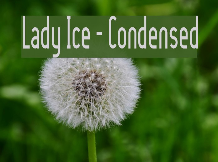 Lady Ice - Condensed Font examples