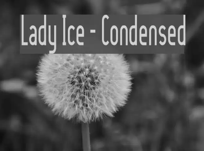 Lady Ice - Condensed 字体 examples