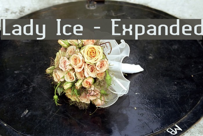 Lady Ice - Expanded Font examples