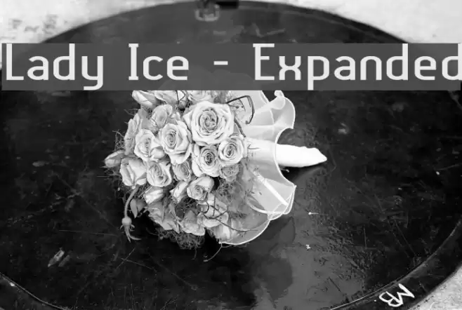 Lady Ice - Expanded Fuentes examples