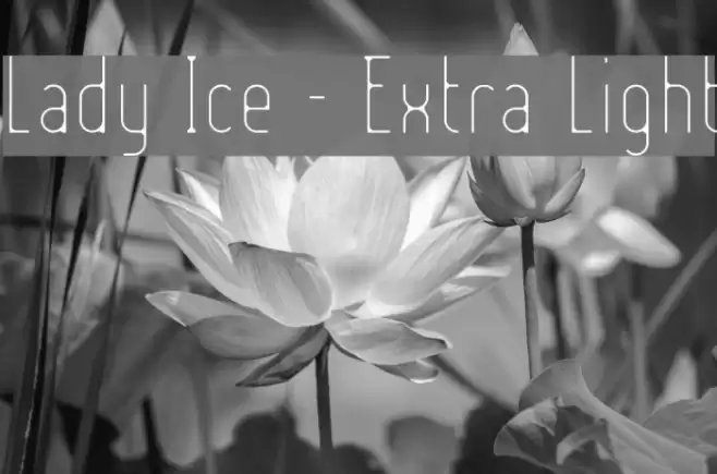 Lady Ice - Extra Light Schriftart examples