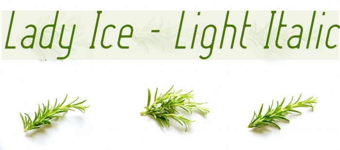 Lady Ice - Light Italic Example 3