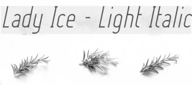 Lady Ice - Light Italic Font examples