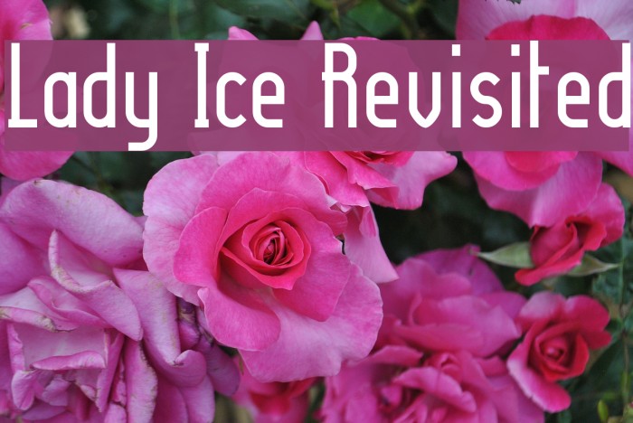 Lady Ice Revisited Font examples