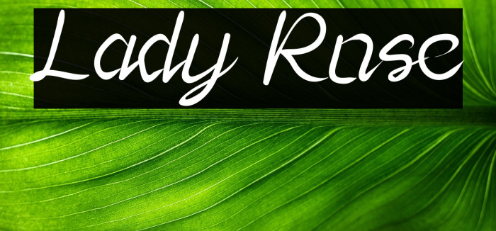 Lady Rose Example 2