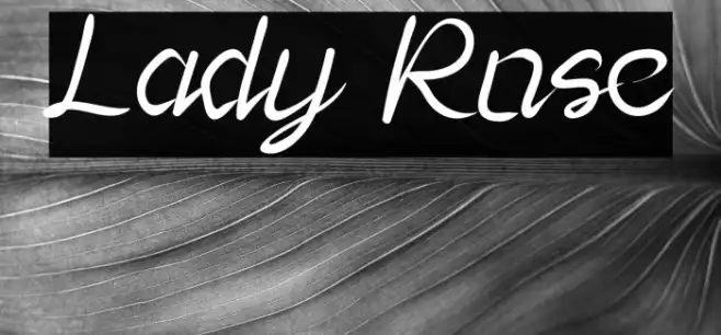 Lady Rose Example 2