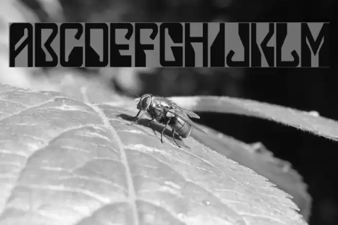 Lady Starlight Font examples