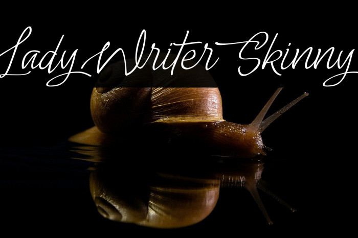 Lady Writer Skinny Example 1