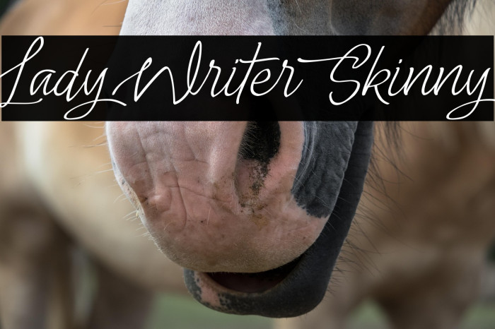 Lady Writer Skinny Example 2