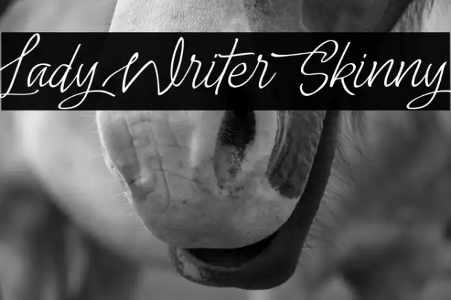Lady Writer Skinny Example 2