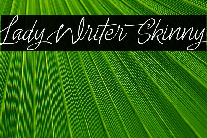 Lady Writer Skinny Example 3