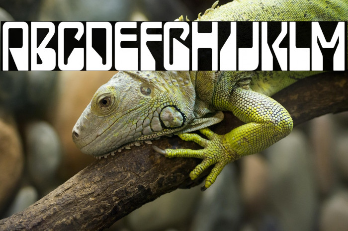 LadyStarlight-Regular Example 1