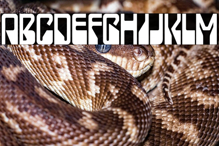 LadyStarlight-Regular Example 3