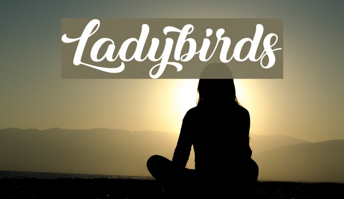 Ladybirds Font examples
