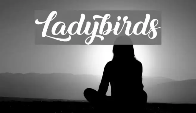 Ladybirds Example 1