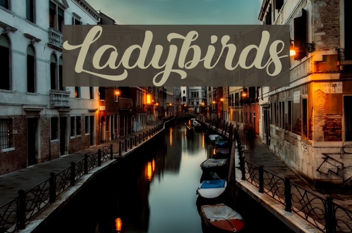 Ladybirds Font examples