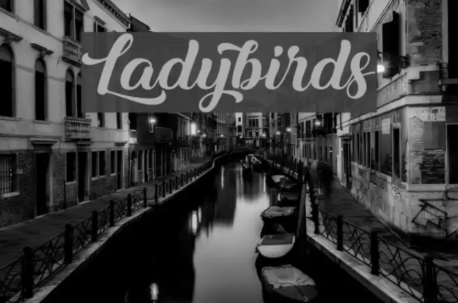 Ladybirds Example 3