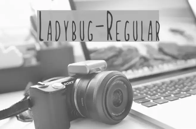 Ladybug-Regular Example 1