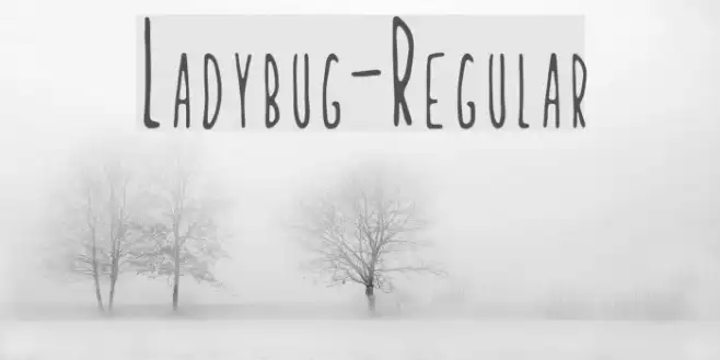 Ladybug-Regular Example 2