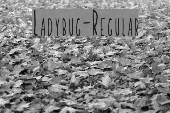 Ladybug-Regular Example 3