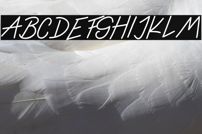 Ladybug font regular Example 1