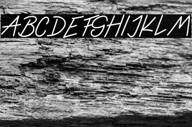 Ladybug font regular Font examples