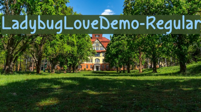 LadybugLoveDemo-Regular Font examples