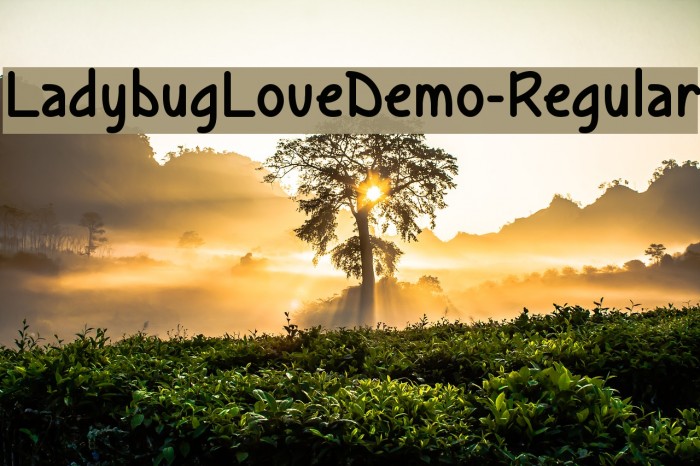 LadybugLoveDemo-Regular フォント examples