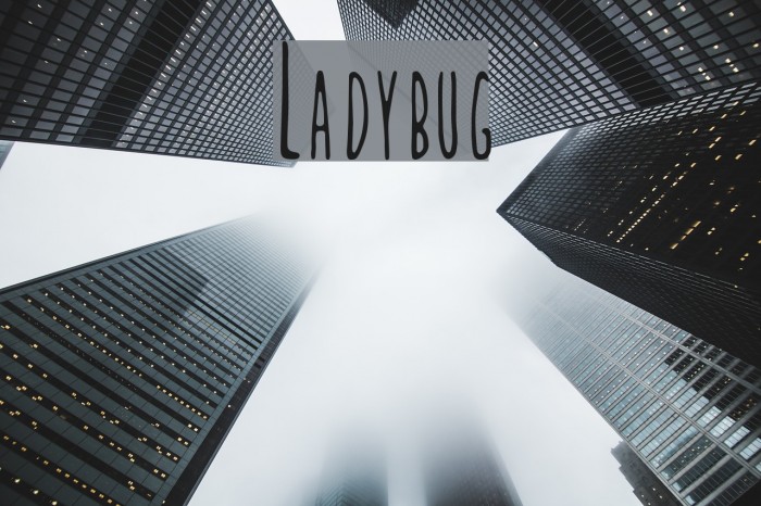 Ladybug Example 1
