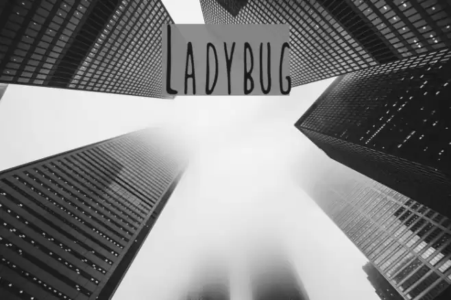 Ladybug Font examples