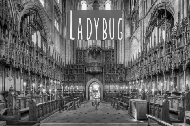 Ladybug Font examples