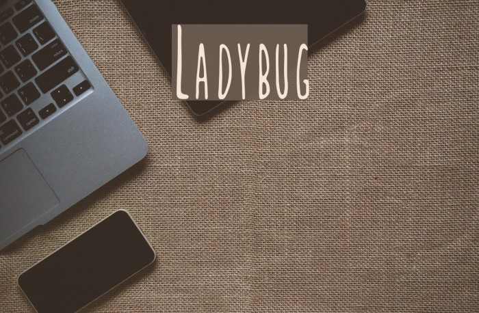 Ladybug Example 3