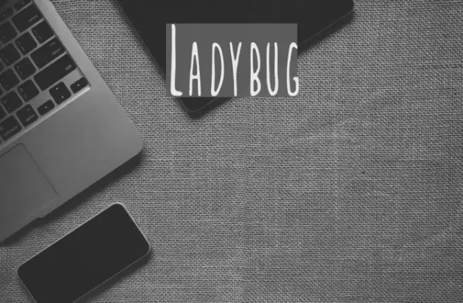 Ladybug Font examples