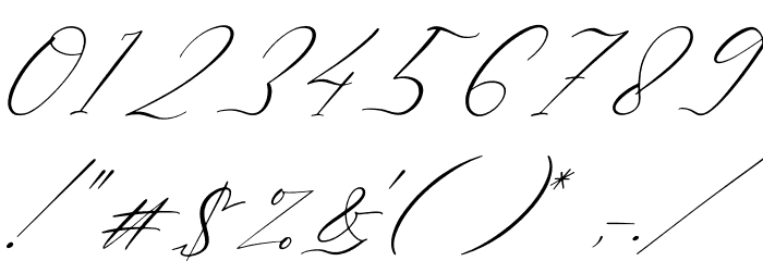 Ladyday Italic Font OTHER CHARS