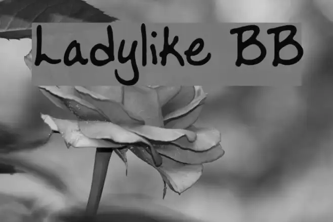 Ladylike BB Example 1