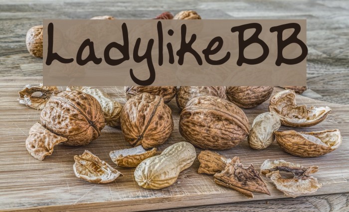LadylikeBB Font examples