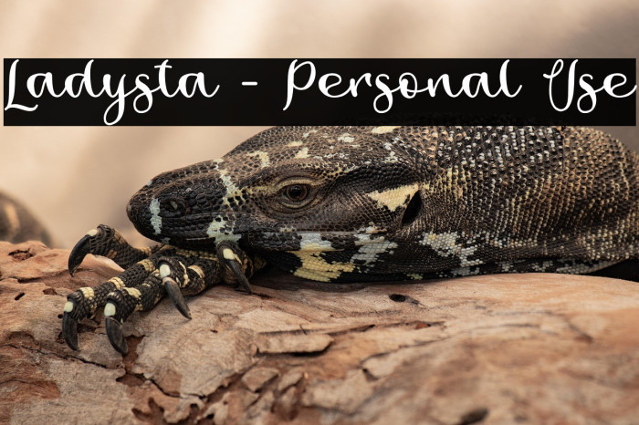 Ladysta - Personal Use Example 1