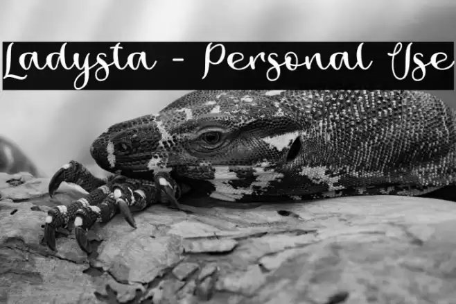 Ladysta - Personal Use Font examples