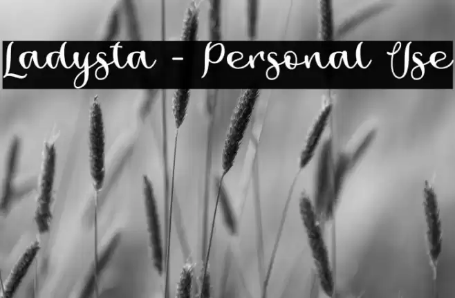 Ladysta - Personal Use Font examples