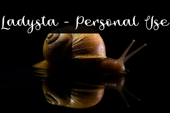 Ladysta - Personal Use Example 3