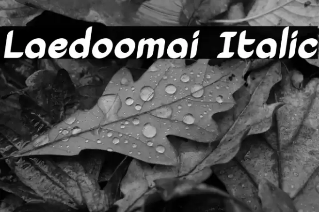Laedoomai Italic Font examples