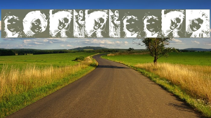 LaetitiaBats2 Example 1