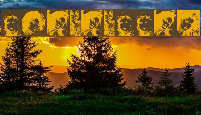 LaetitiaBats2 Example 2