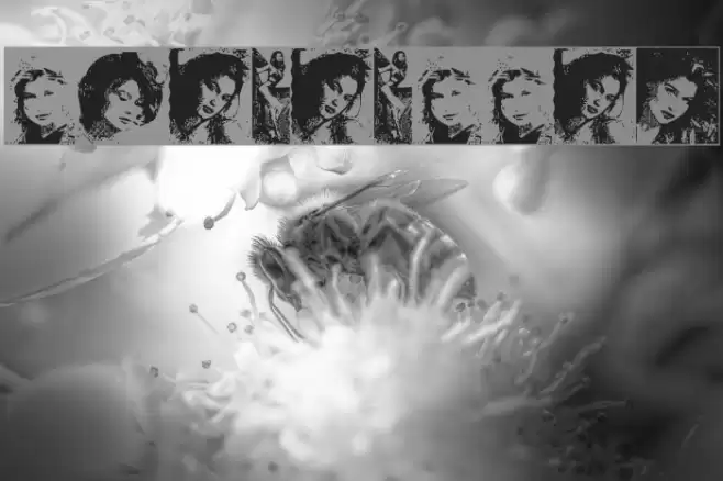 LaetitiaBats2 Font examples