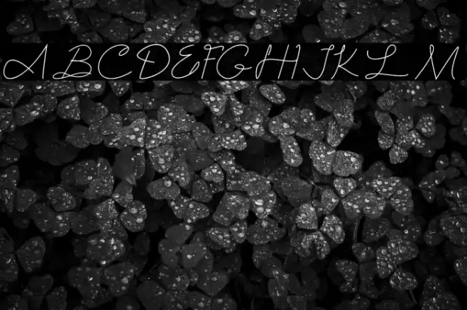 Lafamaria Font examples