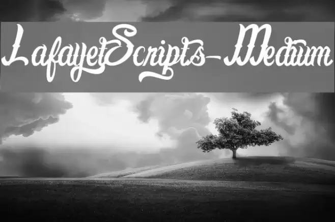 LafayetScripts-Medium Font examples